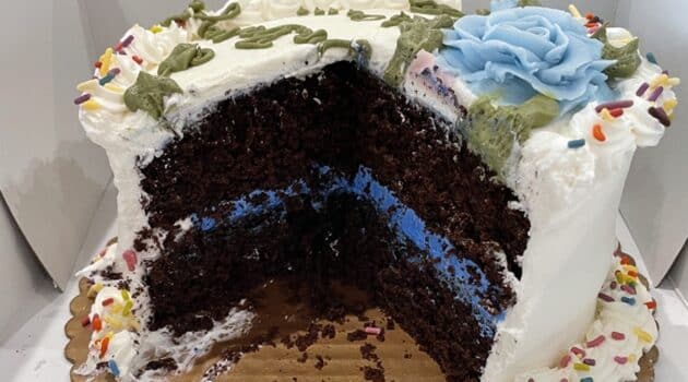 A chocolate cake with white frosting is sliced so you can see the blue frosting inside