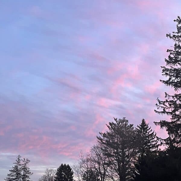 Morning sky with purples and blues and pinks