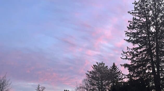 Morning sky with purples and blues and pinks