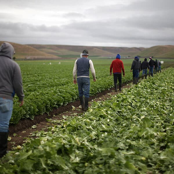 Special week puts focus on how food gets to Americans’ tables — through farmworkers’ labor