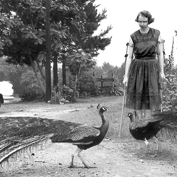 Flannery O’Connor’s 100th birthday parties celebrate author’s quirks, talents — and love of birds