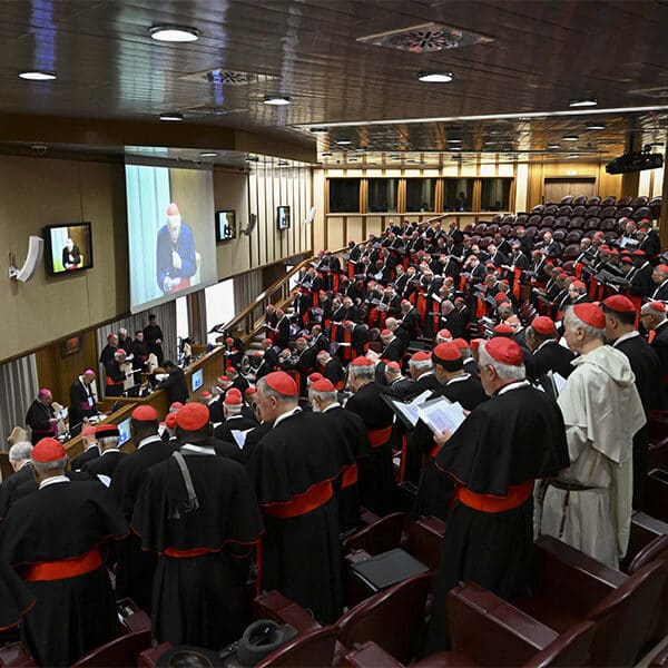 Radio Interview: Death of Pope Francis and upcoming Conclave