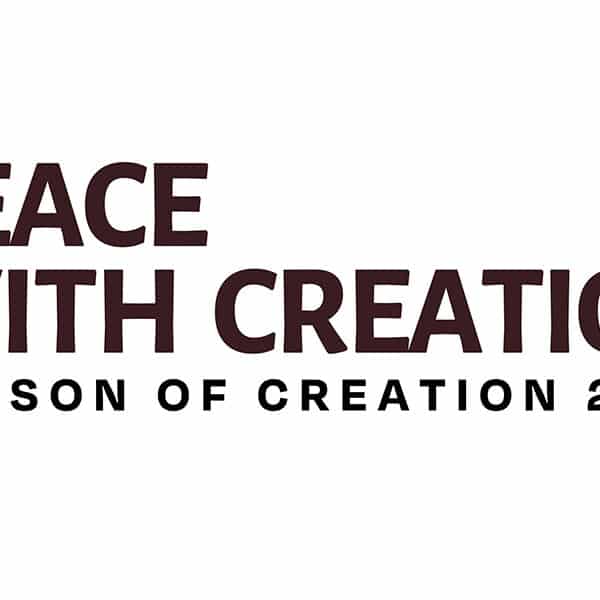 Peace, care for creation linked, dicastery says
