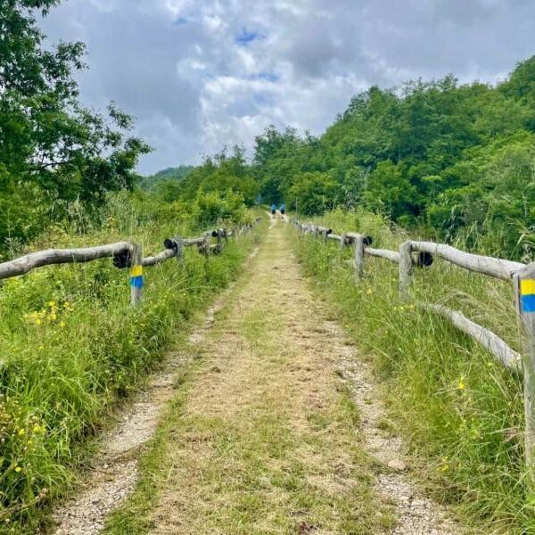 Pilgrims of Hope: Walking the Way of St. Francis in the Year of Jubilee