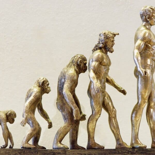 Scopes Monkey Trial ignited century-long debate on evolution and belief 