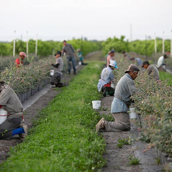 Poll: Record-high percentage of U.S. adults say immigration good for country