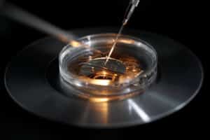 three parent embryos