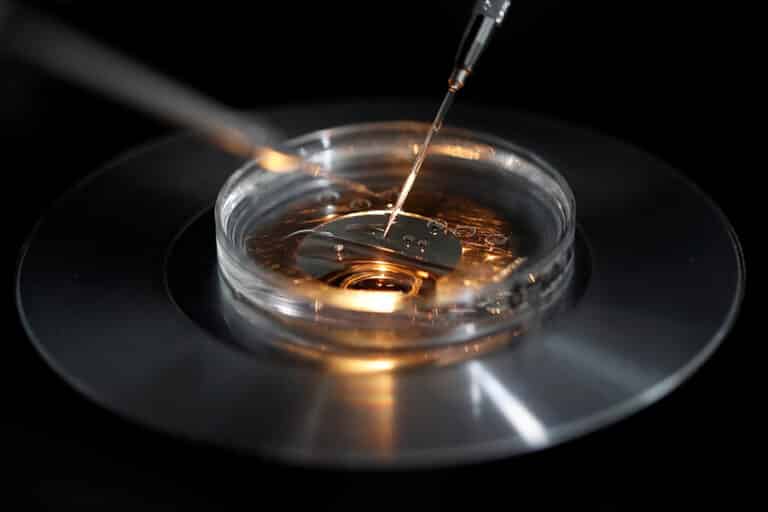 three parent embryos