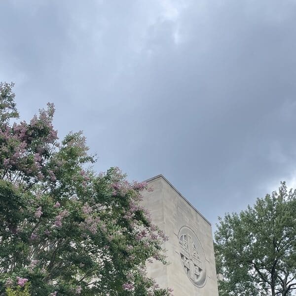 Gray cloudy sky above a church and flowering trees