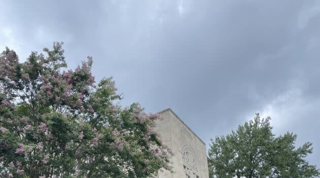 Gray cloudy sky above a church and flowering trees