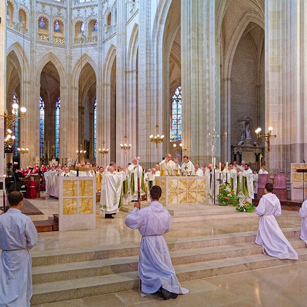 As Nantes cathedral opens after 2020 fire, Notre Dame in Paris presents reopened towers