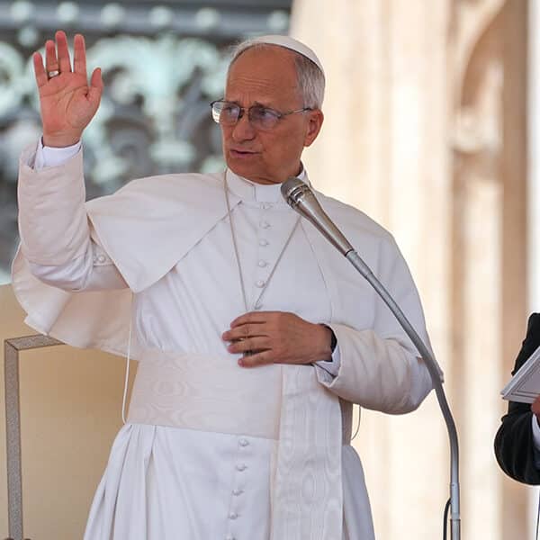 Relentless effort, quick action are not always the answer, pope says