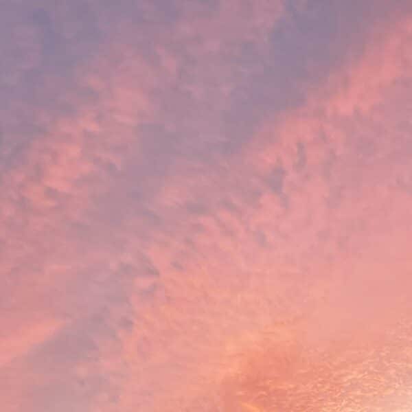 Streaks of pink and purple clouds in a sunrise sky