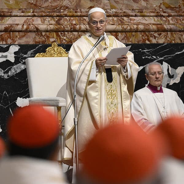 Pope Leo’s extraordinary consistory