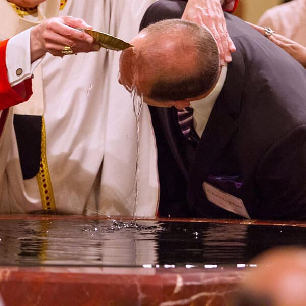 Archdiocese of Paris convenes council in response to historic rise in catechumens