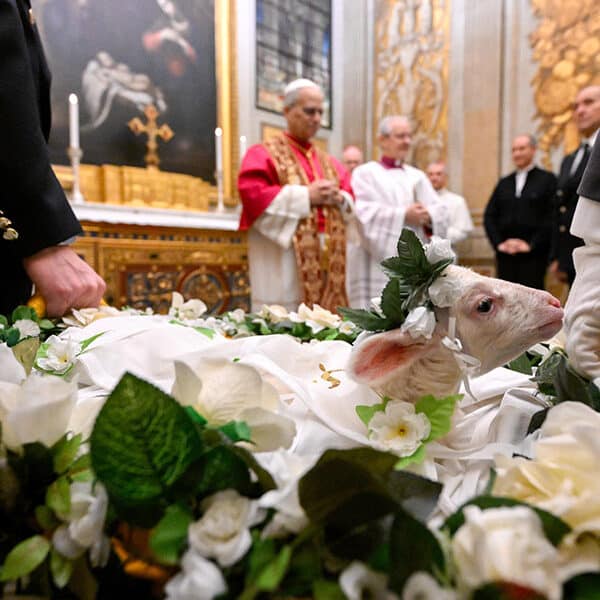 In a moment of Vatican sweetness, Pope Leo receives lambs in ancient St. Agnes tradition