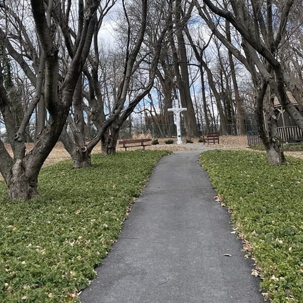 A path stretches ahead between trees toward a white cross