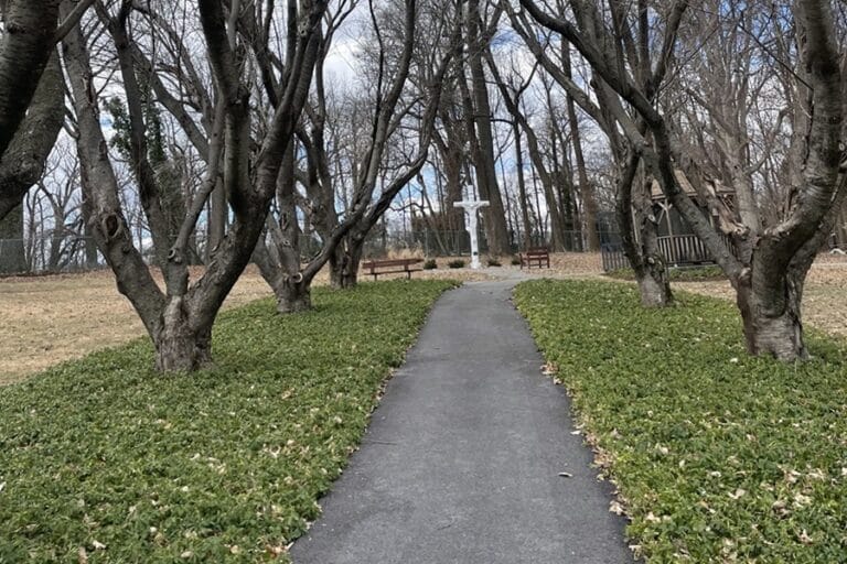 A path stretches ahead between trees toward a white cross