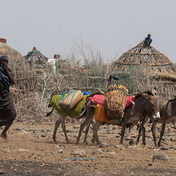 As drought strikes hard, Church leaders in Eastern Africa call for Lenten prayers