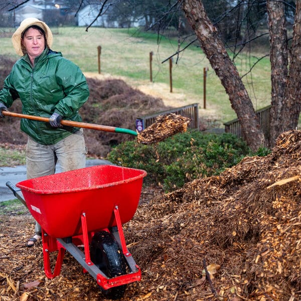 Catholics nurture environment in gardens, yards and beyond