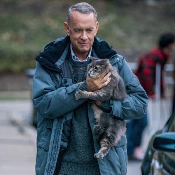 Home viewing roundup: What’s available to stream and what’s on the horizon