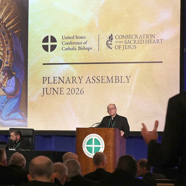 US bishops approve updates to landmark child protection policies