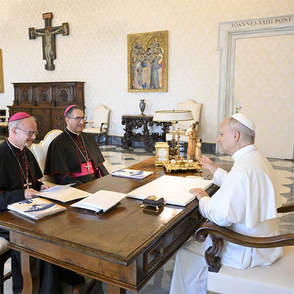 Pope Leo XIV approves new statutes for child protection commission