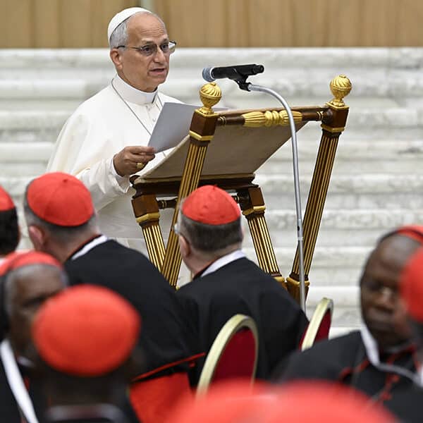 Pope Leo tells cardinals war is ‘never blessed by God’